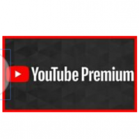 YouTube Premium YouTube Music 12 Months