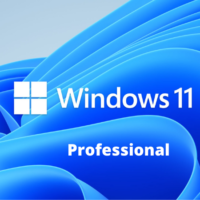 Windows 11 Professional